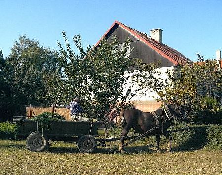 Bed and Breakfast Platanus Beckov Exterior foto