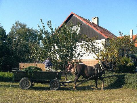 Bed and Breakfast Platanus Beckov Exterior foto